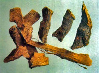 Huzhang2